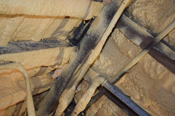 PCA Certified Spray Foam Removal Assessor in 